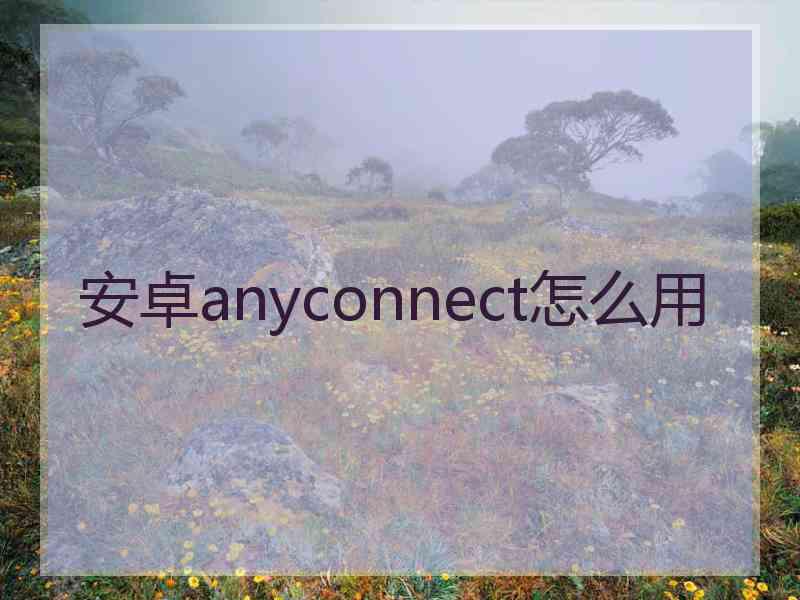 安卓anyconnect怎么用