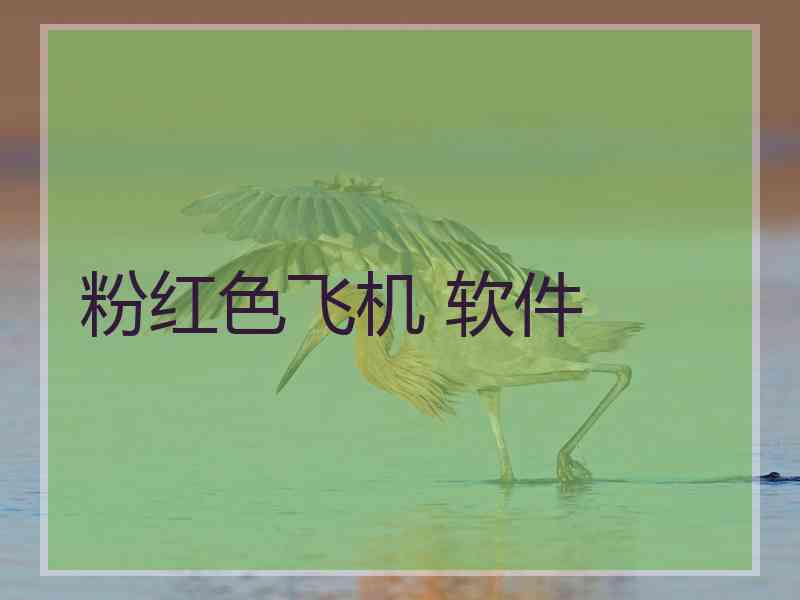 粉红色飞机 软件