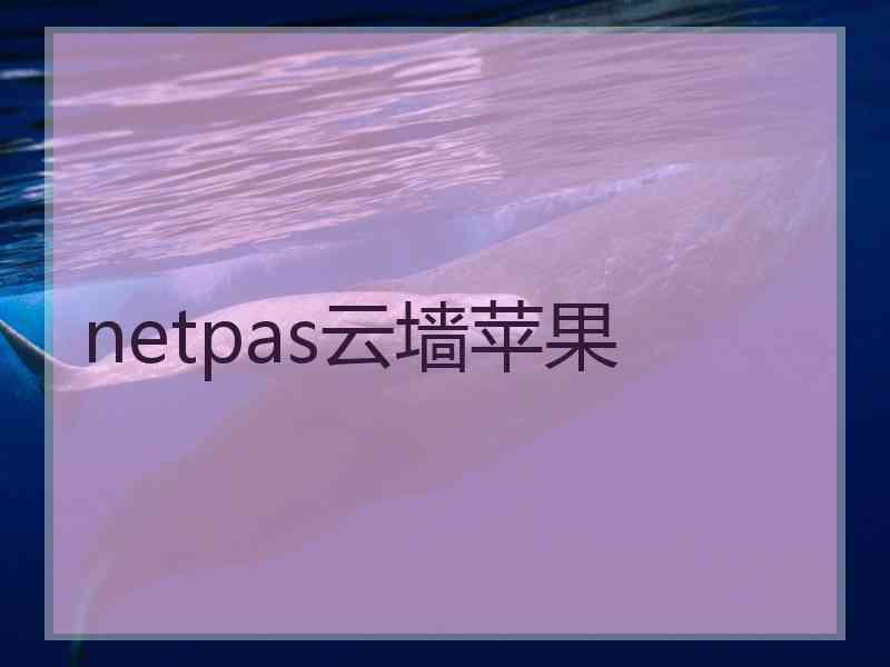 netpas云墙苹果