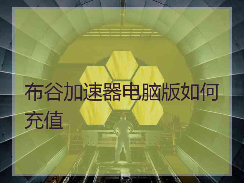 布谷加速器电脑版如何充值