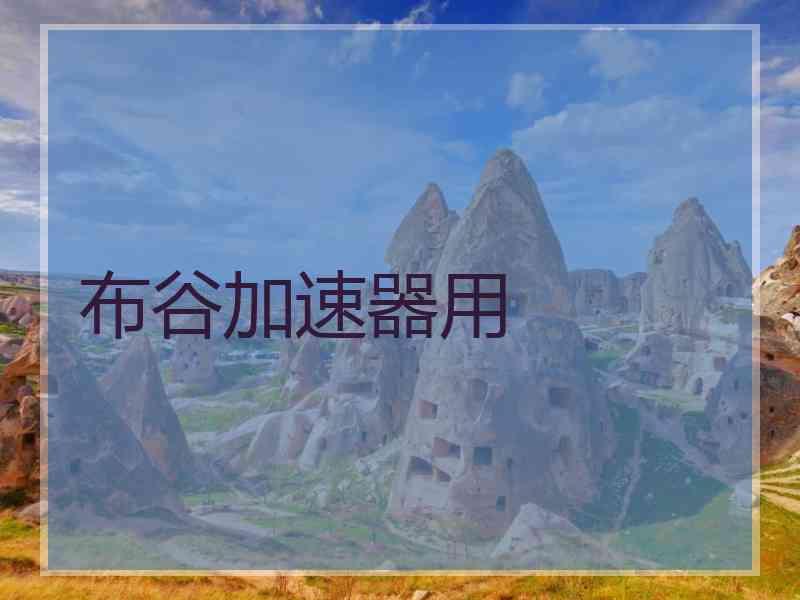 布谷加速器用
