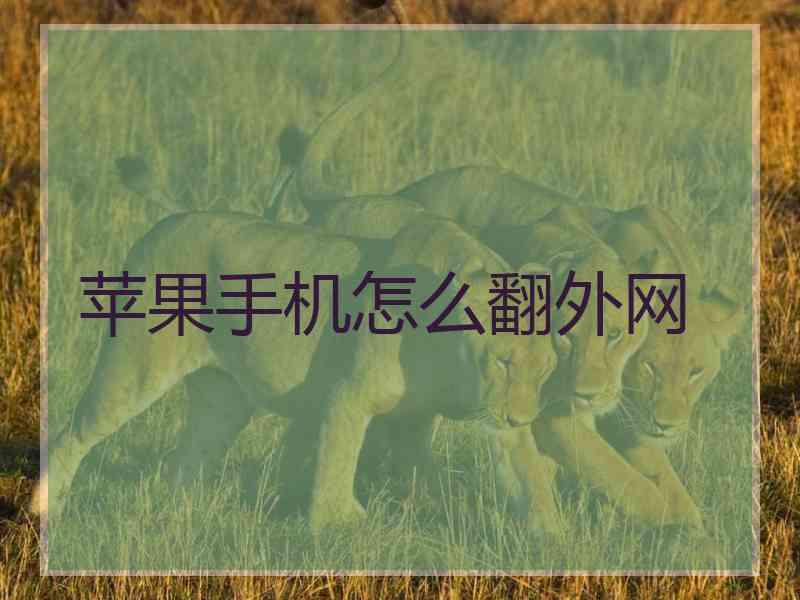 苹果手机怎么翻外网