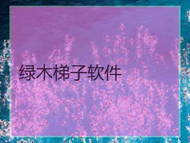 绿木梯子软件