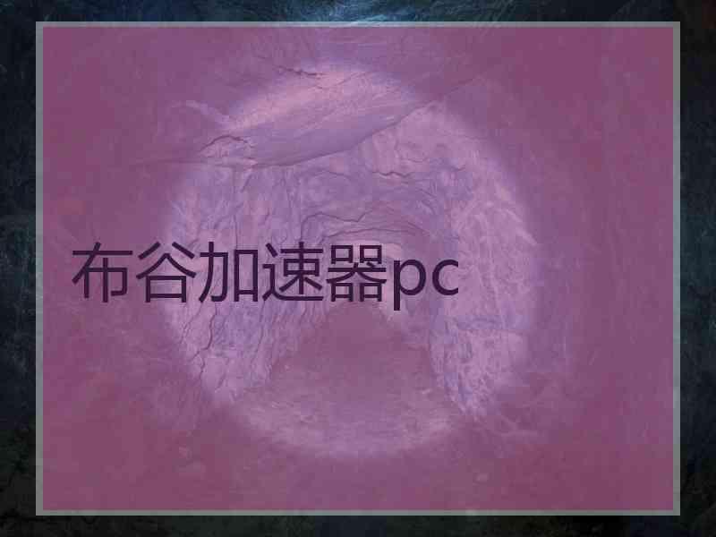 布谷加速器pc