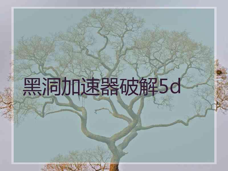 黑洞加速器破解5d