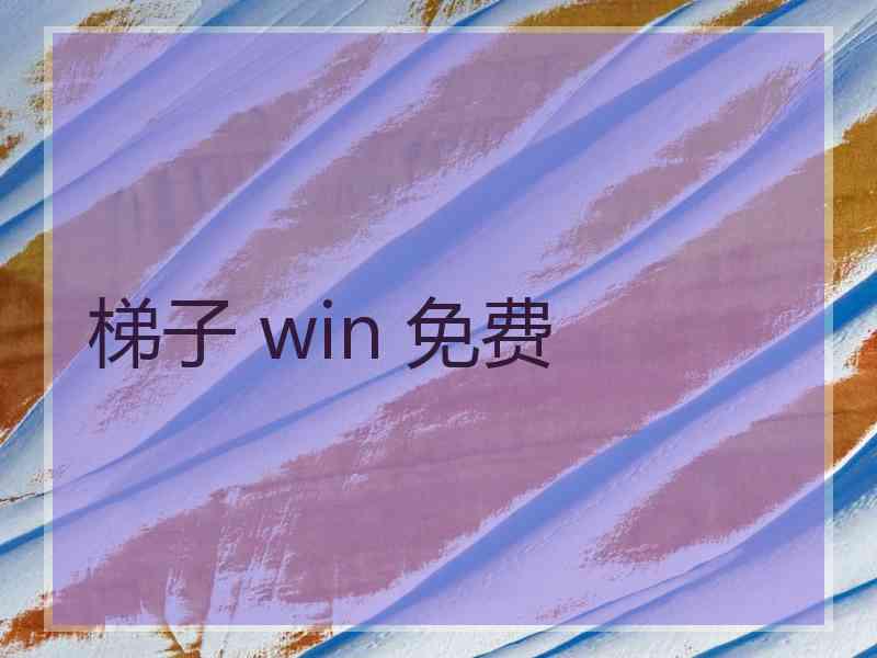 梯子 win 免费