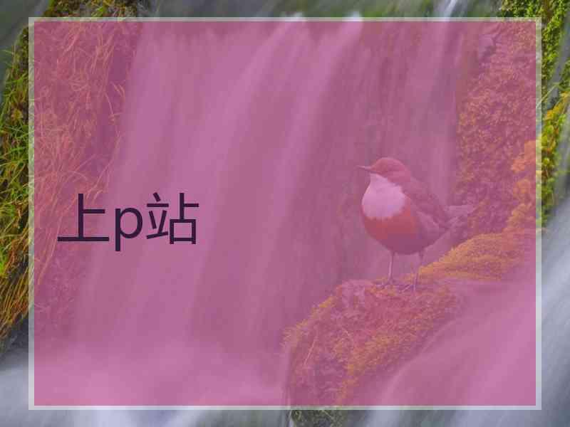上p站