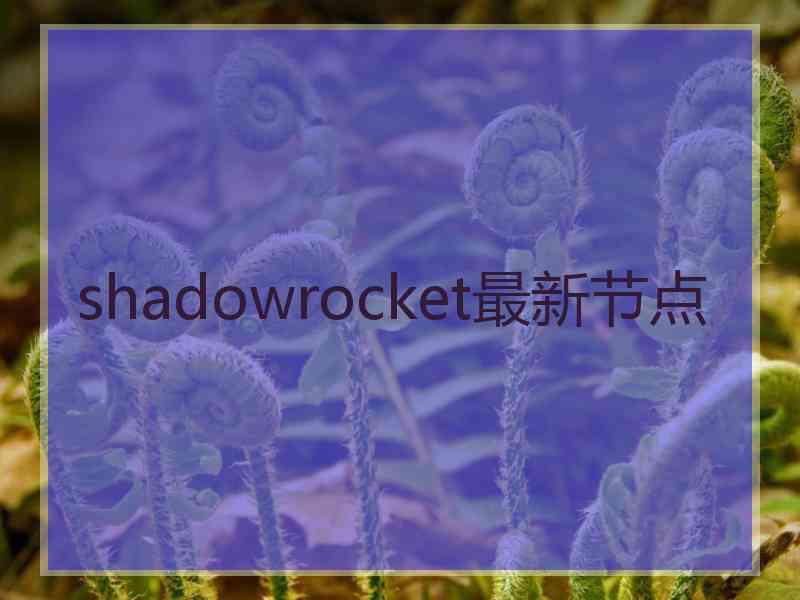shadowrocket最新节点