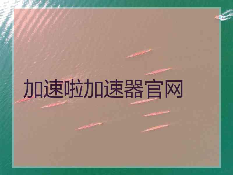 加速啦加速器官网