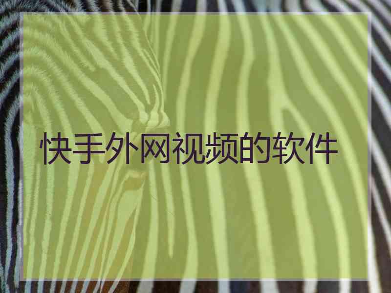 快手外网视频的软件