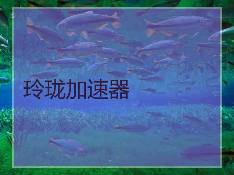 玲珑加速器