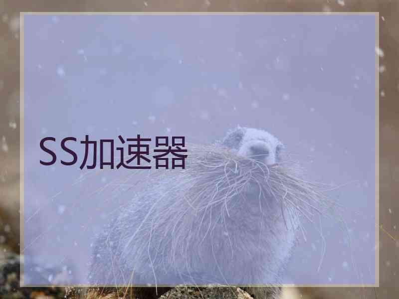 SS加速器