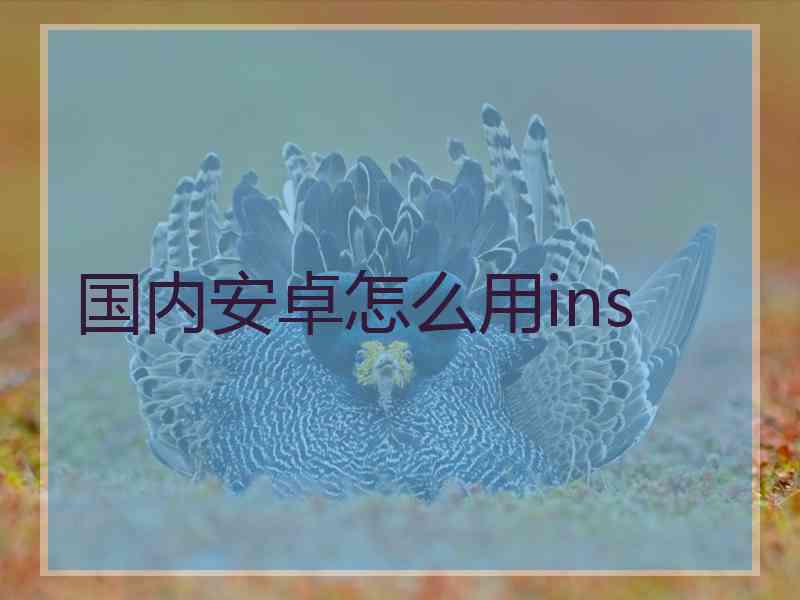 国内安卓怎么用ins