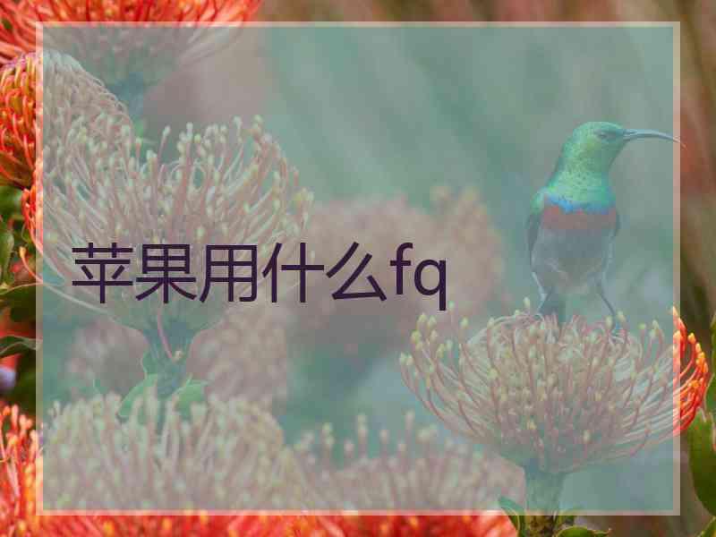 苹果用什么fq