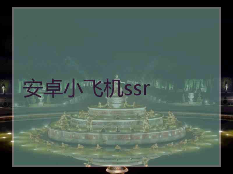 安卓小飞机ssr