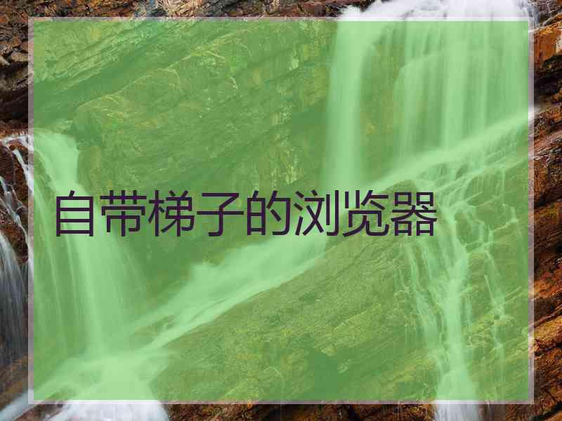 自带梯子的浏览器