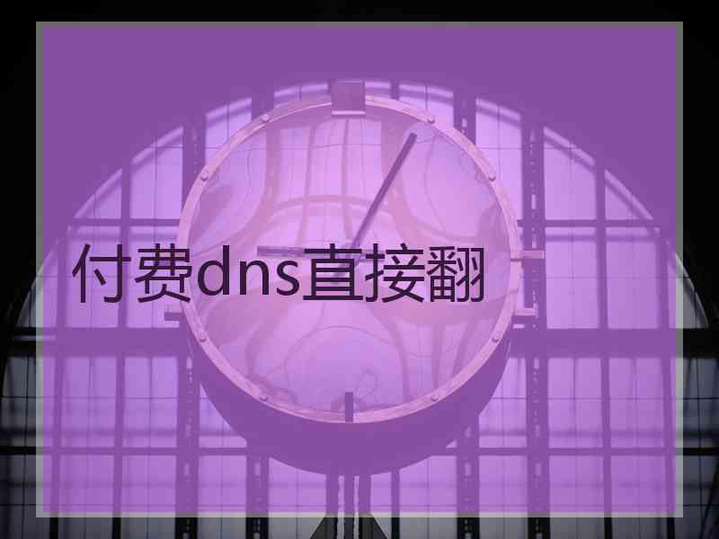 付费dns直接翻