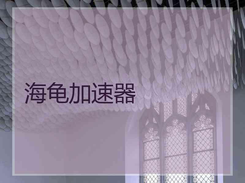 海龟加速器