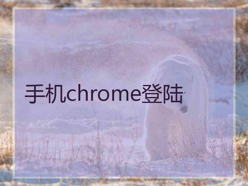 手机chrome登陆