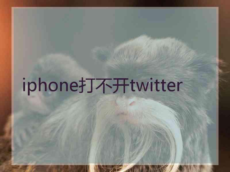 iphone打不开twitter