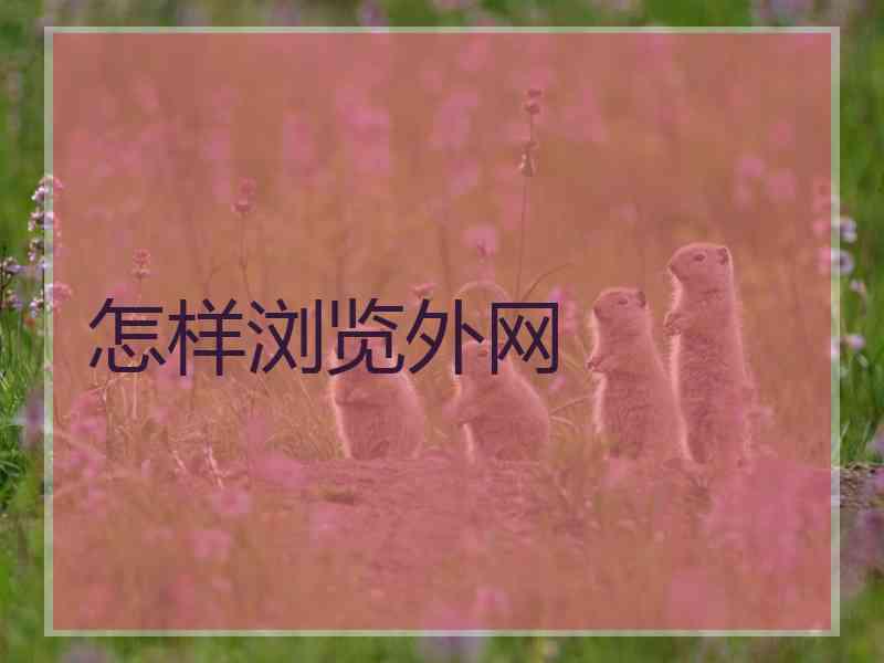 怎样浏览外网