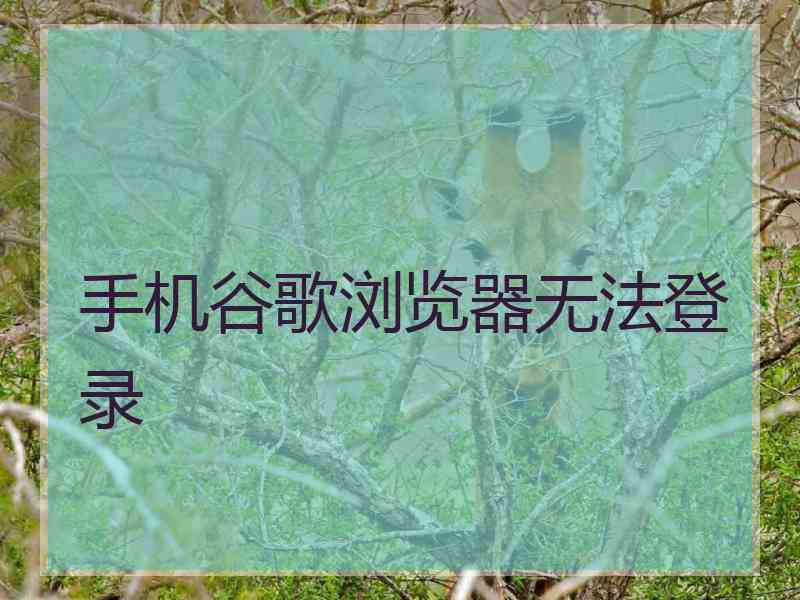 手机谷歌浏览器无法登录