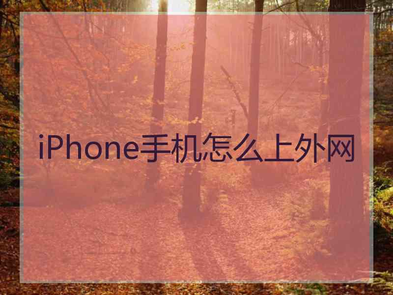 iPhone手机怎么上外网