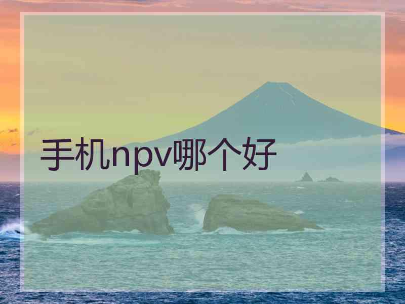 手机npv哪个好