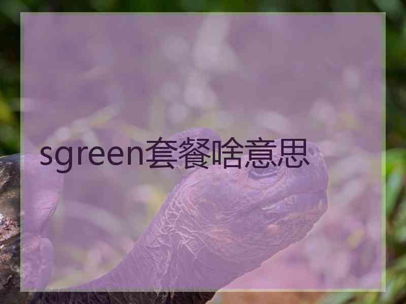 sgreen套餐啥意思