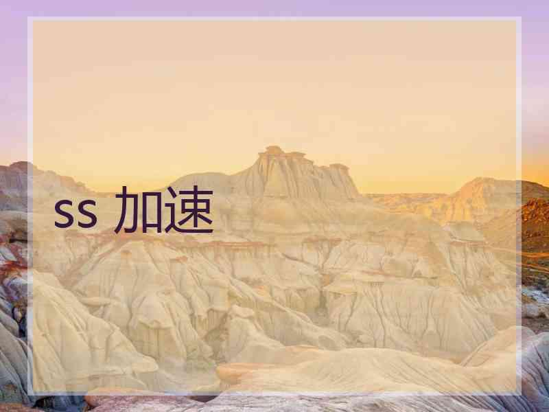 ss 加速