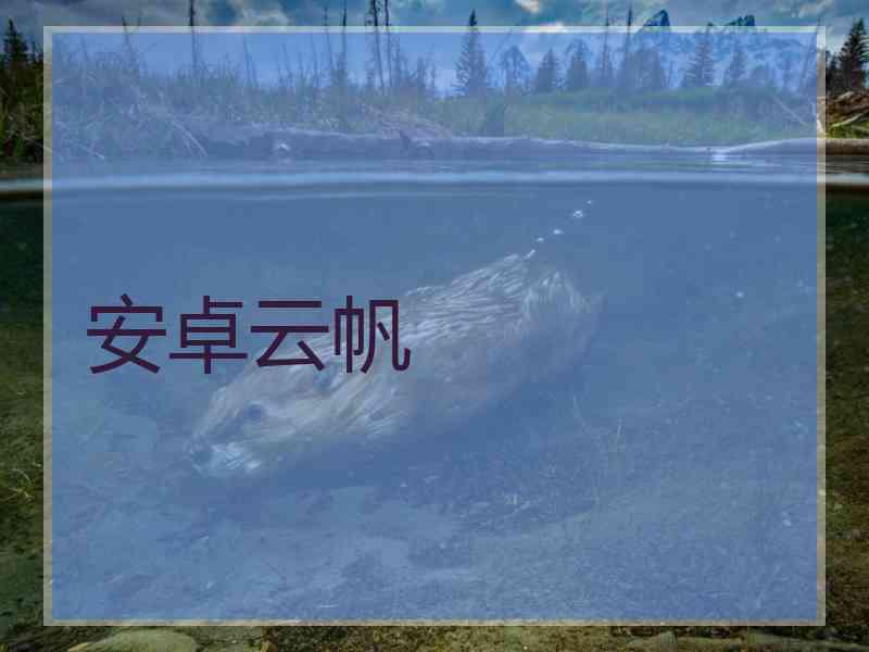 安卓云帆