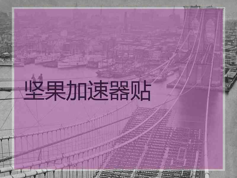 坚果加速器贴