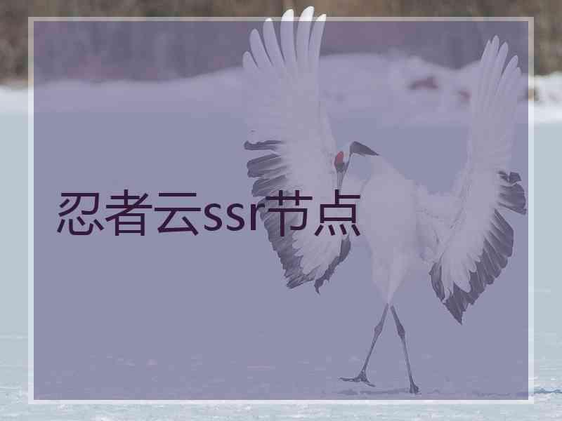 忍者云ssr节点