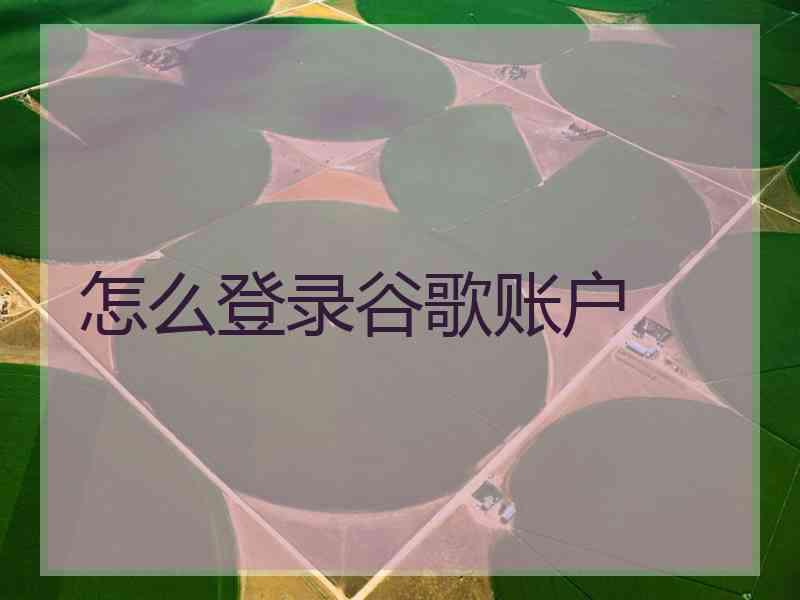 怎么登录谷歌账户