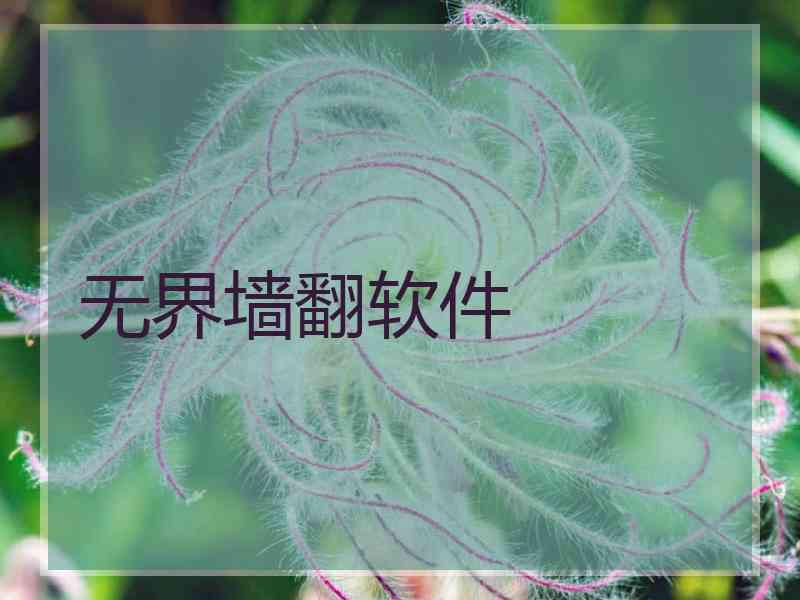无界墙翻软件