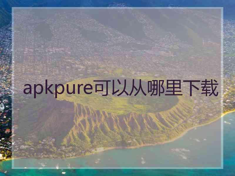 apkpure可以从哪里下载
