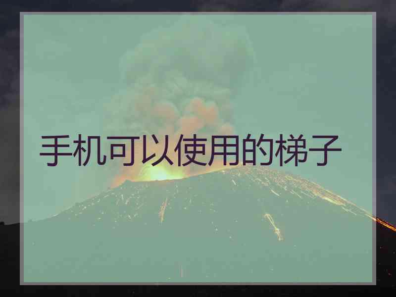 手机可以使用的梯子