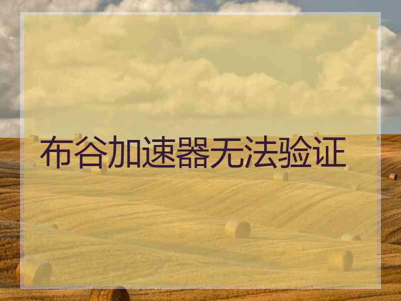 布谷加速器无法验证