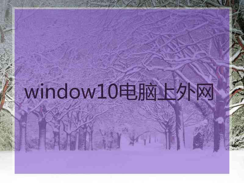 window10电脑上外网