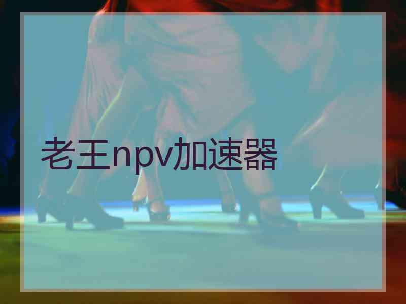 老王npv加速器