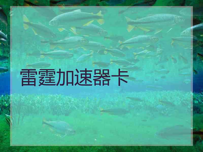 雷霆加速器卡