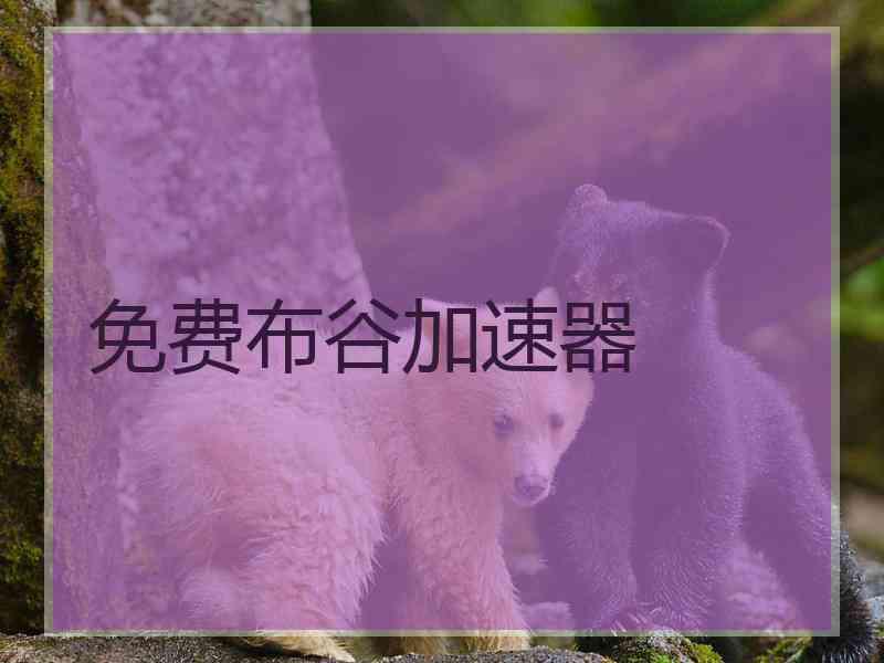 免费布谷加速器