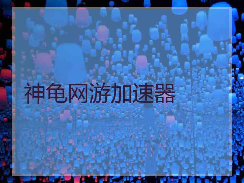 神龟网游加速器