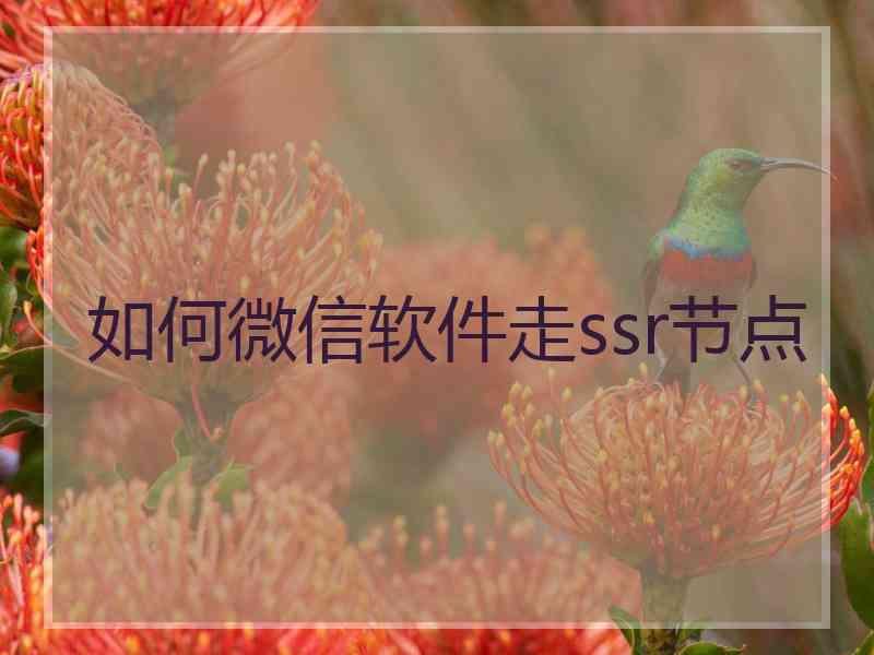 如何微信软件走ssr节点