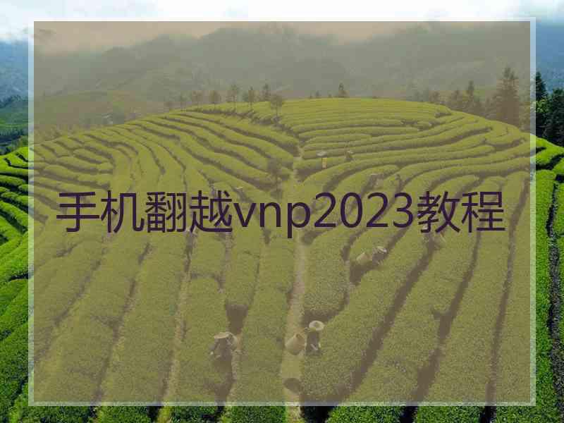手机翻越vnp2023教程