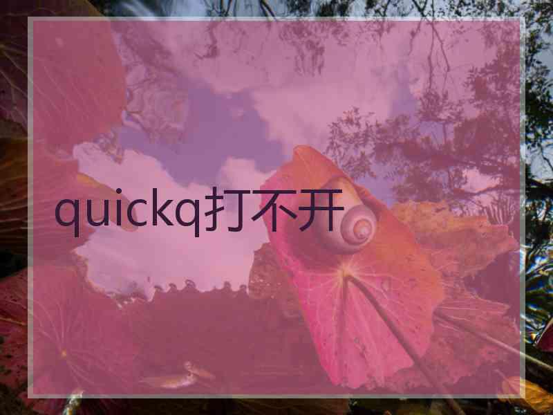 quickq打不开