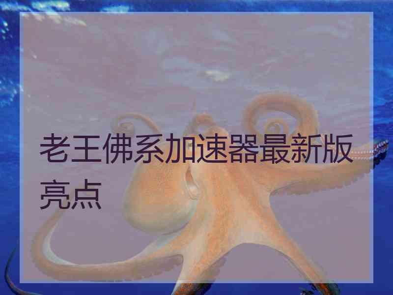 老王佛系加速器最新版亮点
