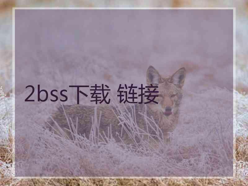 2bss下载 链接