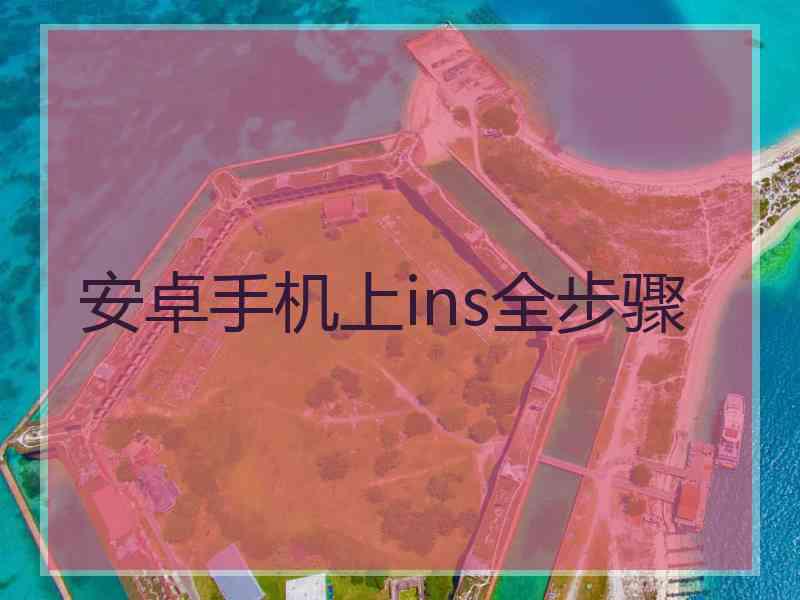 安卓手机上ins全步骤