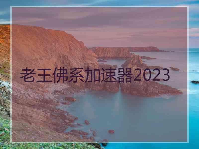 老王佛系加速器2023